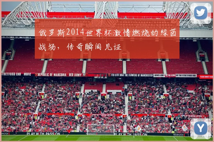 俄罗斯2014世界杯激情燃烧的绿茵战场，传奇瞬间见证