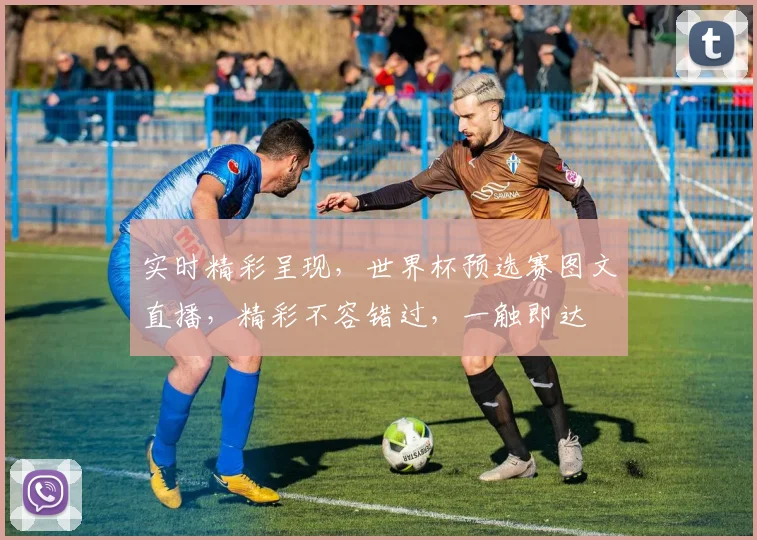 实时精彩呈现，世界杯预选赛图文直播，精彩不容错过，一触即达