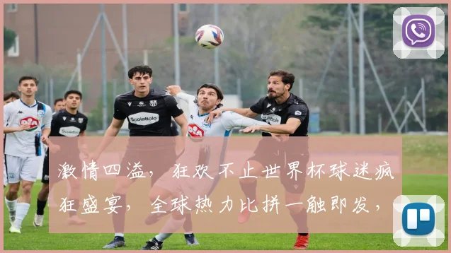 激情四溢，狂欢不止世界杯球迷疯狂盛宴，全球热力比拼一触即发，谁将称霸巅峰