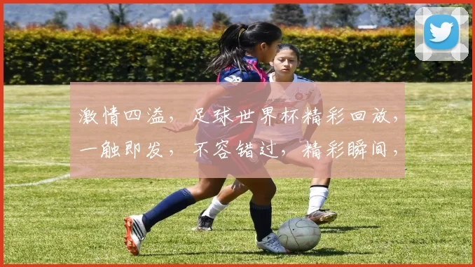 激情四溢，足球世界杯精彩回放，一触即发，不容错过，精彩瞬间，尽在回顾逗