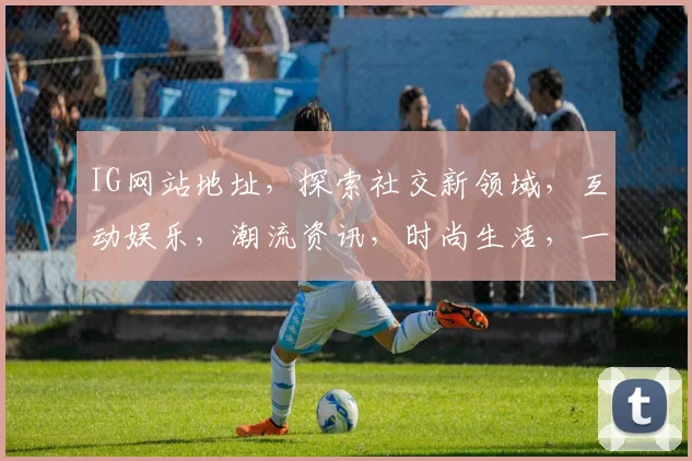 IG网站地址，探索社交新领域，互动娱乐，潮流资讯，时尚生活，一网打尽，体验非凡